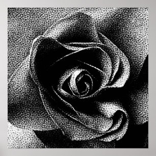 AFFICHES ROSE NOIRE