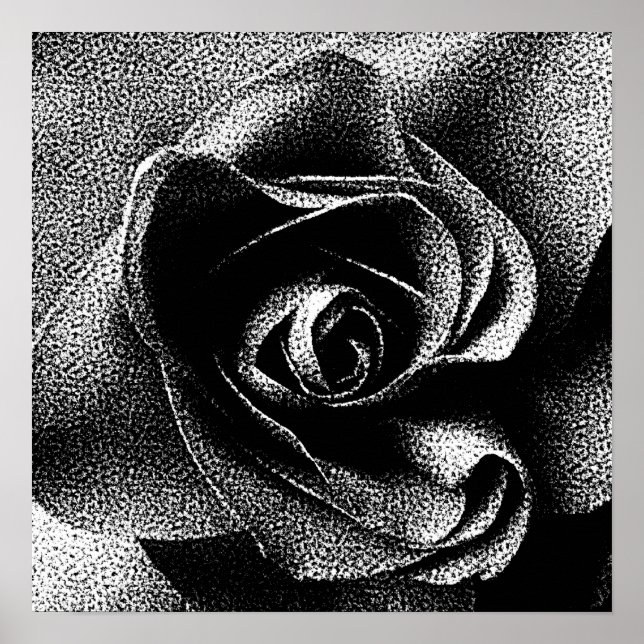 AFFICHES ROSE NOIRE (Devant)