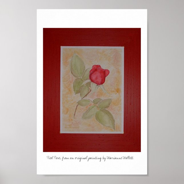 Affiches Rose rouge (Devant)