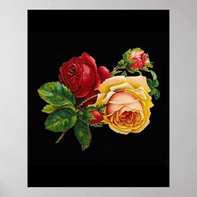 Affiches Rose rouge vintage contre noir - accessoire (Devant)