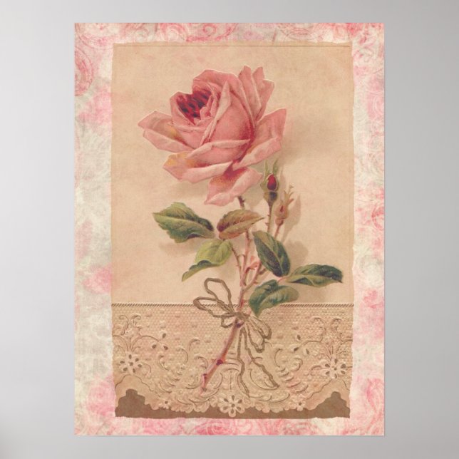 Affiches Rose Victorian (Devant)
