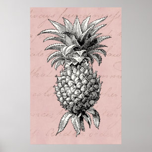 Affiches Rose vintage d'illustration d'ananas de 1800s