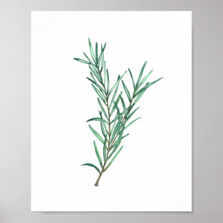 Affiches Rosemary