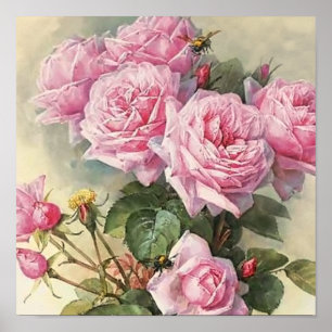 Affiches Roses et bourdons Paul de Longpre Art