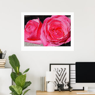 Affiches Roses Grimpantes Roses