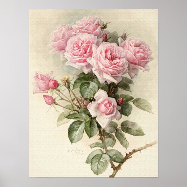 Affiches Roses romantiques victoriens vintages (Devant)