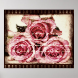 Affiches Roses roses vintages