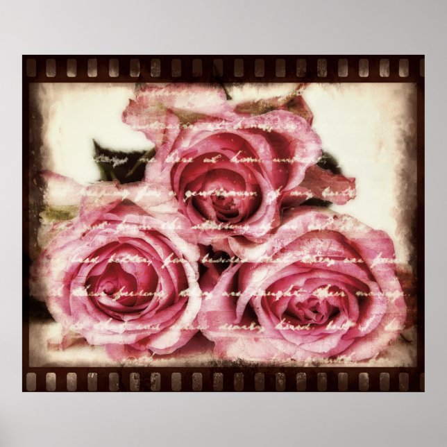 Affiches Roses roses vintages (Devant)