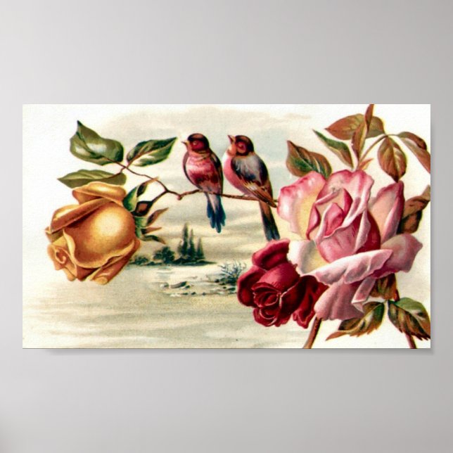 Affiches Roses Vintages d'oiseaux du portefeuille (Devant)