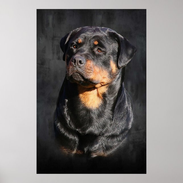 Affiches Rottweiler (Devant)