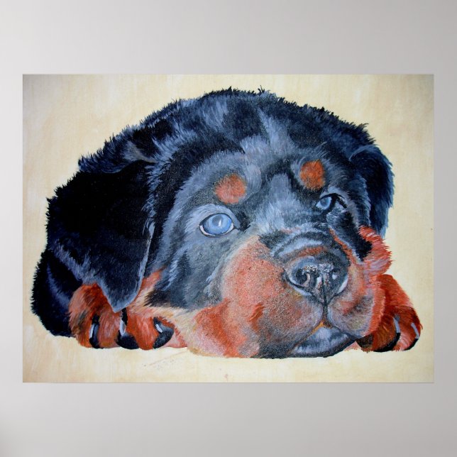Affiches Rottweiler Chiot Artistique Portrait pour Animaux (Devant)