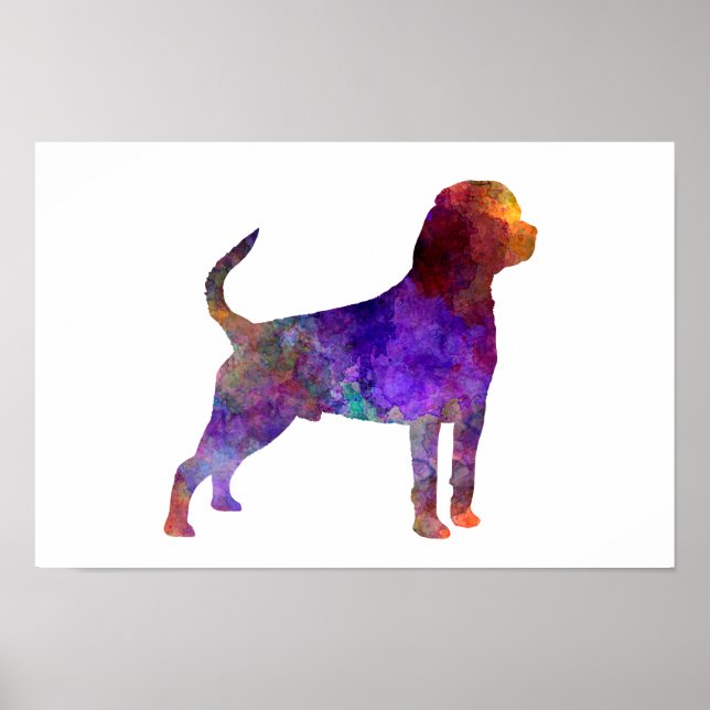 Affiches Rottweiler en aquarelle (Devant)