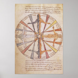 Affiches Roue des saisons et des mois