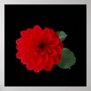 Affiches rouge vif