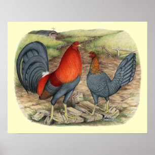 Affiches Rouges bleus de jeu américain