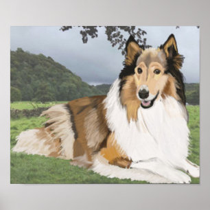 Affiches Rough Collie contre le Yorkshire Dales
