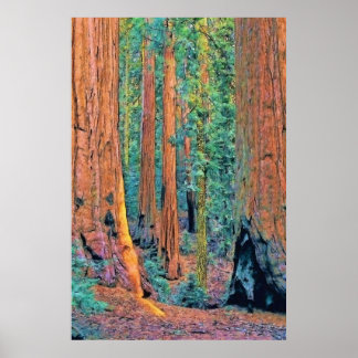 Affiches roughtree faa24