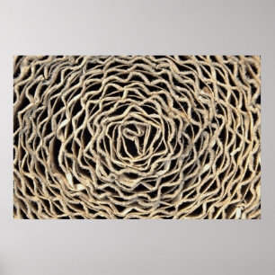 Affiches Rouleau de papier ondulé