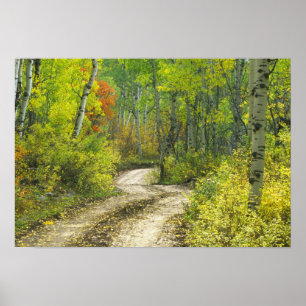 Affiches Route avec couleurs d'automne et trembles à Kebler