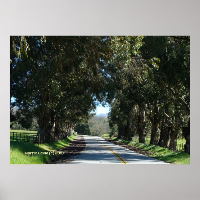 Affiches Route de campagne bordée d'arbres (Devant)