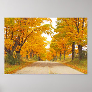 AFFICHES "ROUTE DE CAMPAGNE BORDÉE D'ARBRES DE COULEUR MARI