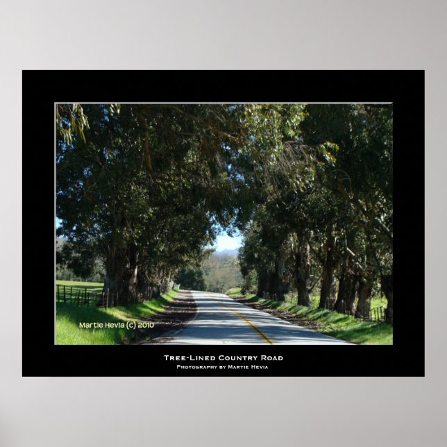 Affiches "Route de la campagne bordée d'arbres" (Devant)