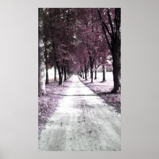 Affiches route de la forêt rose