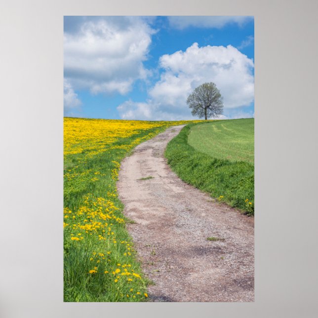 Affiches Route de terre et arbre (Devant)