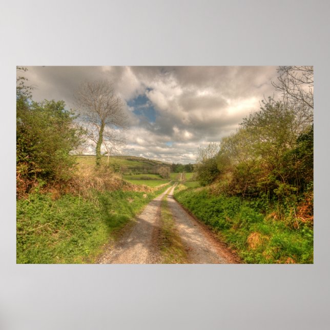 Affiches Route d'Irlande rurale (Devant)