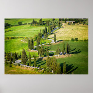 Affiches Route sinueuse bordée de cyprès en Toscane
