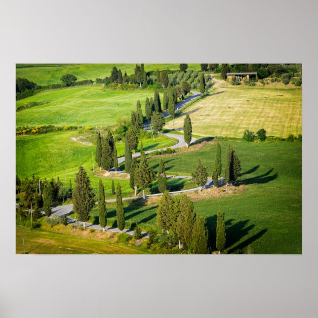 Affiches Route sinueuse bordée de cyprès en Toscane (Devant)
