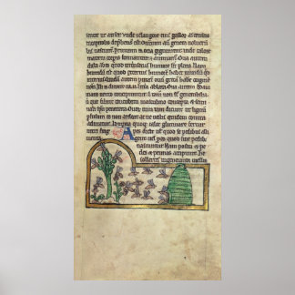 Affiches Roy Page de texte avec illustration