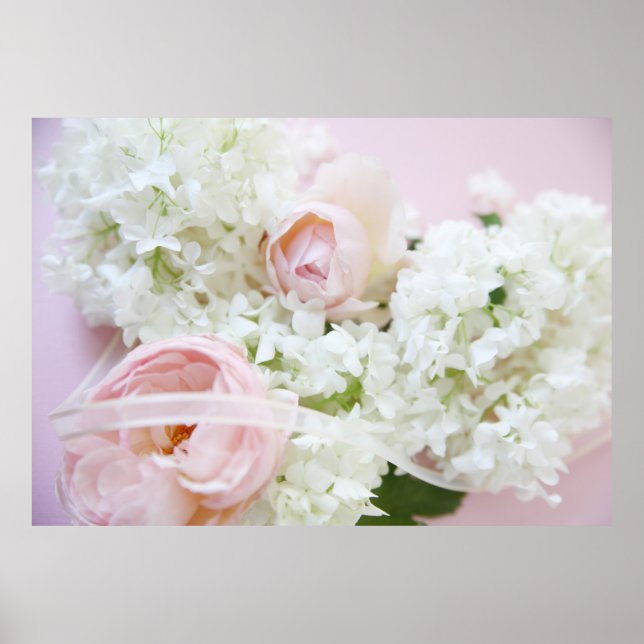 Affiches Ruban hydrangea rose (Devant)