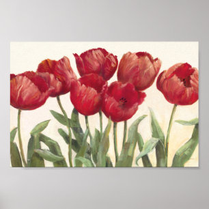 Affiches Ruby Tulips
