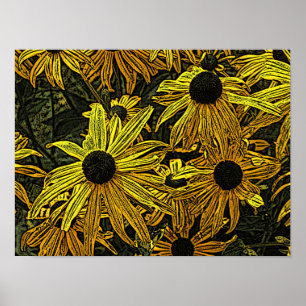 AFFICHES RUDBECKIAS
