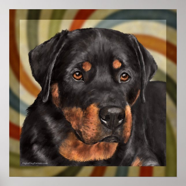 Affiches ruger (Devant)
