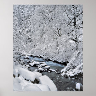 Affiches ruisseau enneigé blanc pittoresque, Oregon