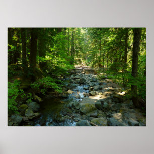 Affiches Ruisseau Laughingwater au Parc national du mont Ra