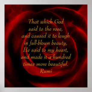 Affiches Rumi Rose rouge beauté