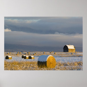 Affiches Rustic barn and hay bales after a fresh snow 3