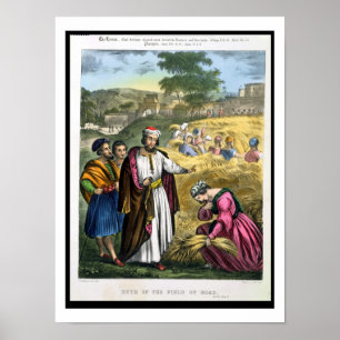 Affiches Ruth in the Field of Boaz, tiré d'une bible imprim