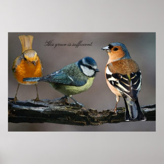 Affiches Sa grâce est suffisante.