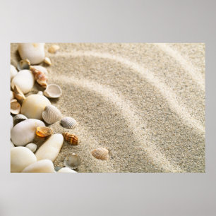 Affiches Sable Avec Coquilles Et Pierres. Composition de pl