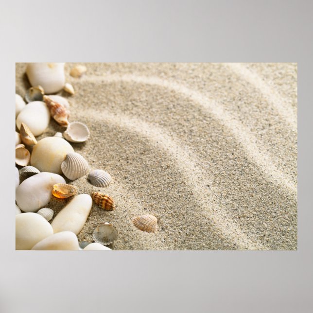 Affiches Sable Avec Coquilles Et Pierres. Composition de pl (Devant)