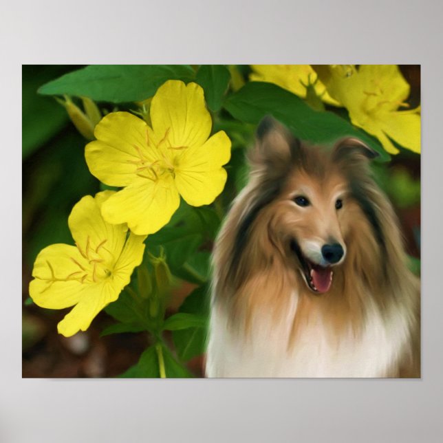 Affiches Sable Collie Jaune Primrose Chien Art (Devant)