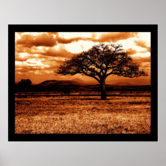 Affiches Safari tanzanien