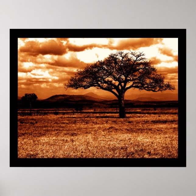 Affiches Safari tanzanien (Devant)