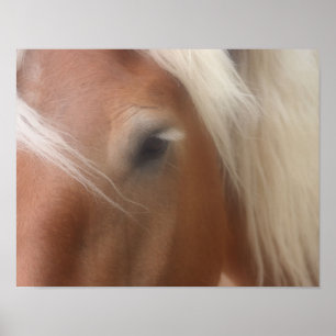 Affiches Sagesse des yeux du cheval