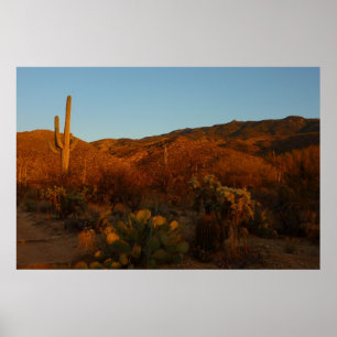Affiches Saguaro Sunset I Arizona Désert Paysage