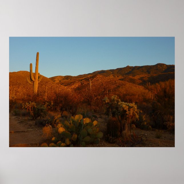 Affiches Saguaro Sunset I Arizona Désert Paysage (Devant)